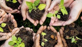 Получайте мини-грант на реализацию социального агроволонтёрского проекта