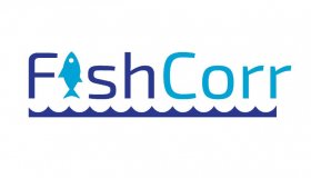 Объявлен официальный старт конкурсу журналистского мастерства FishCorr